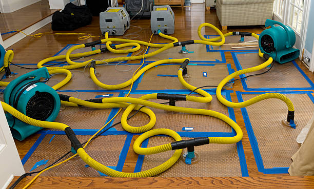 Professional Crawl Space Water Removal technician working in Hawthorne, NJ